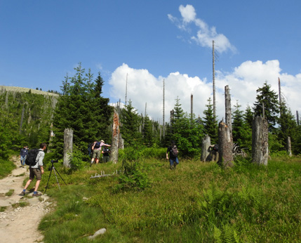 Bavarian Forest NP