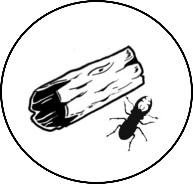 Feeding habits of saproxylic beetles