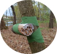 Nesting ecology of cavity-nesting bees, wasps and their natural enemies